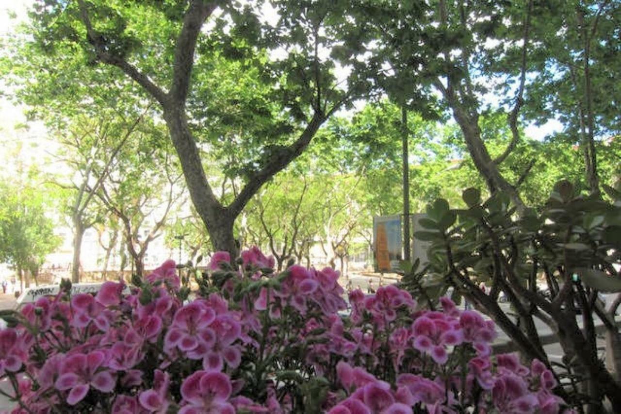 Sant Antoni Lovely Apartment Barselona Dış mekan fotoğraf
